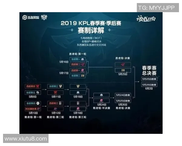 王者荣耀专题深入分析RNG战队的比赛经验与策略分享