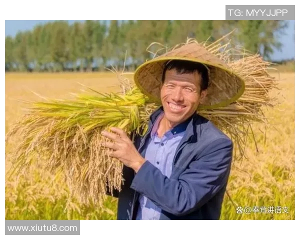 五谷丰登：探索五大主要农作物对中国农业发展的深远影响